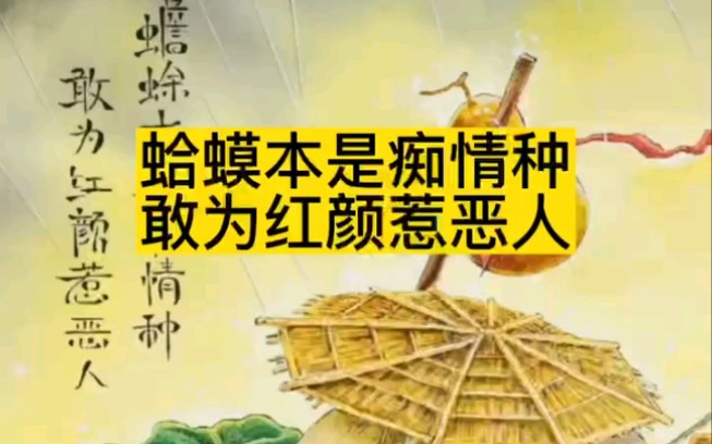 蛤蟆本是痴情种,敢为红颜惹恶人