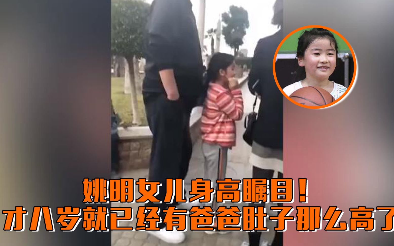 【会拍现场】姚明女儿身高瞩目,才八岁就已经有爸爸肚子那么高了!哔哩哔哩bilibili