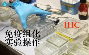 下载视频: 免疫组化（ImmunoHistoChemistry ，IHC)实验操作