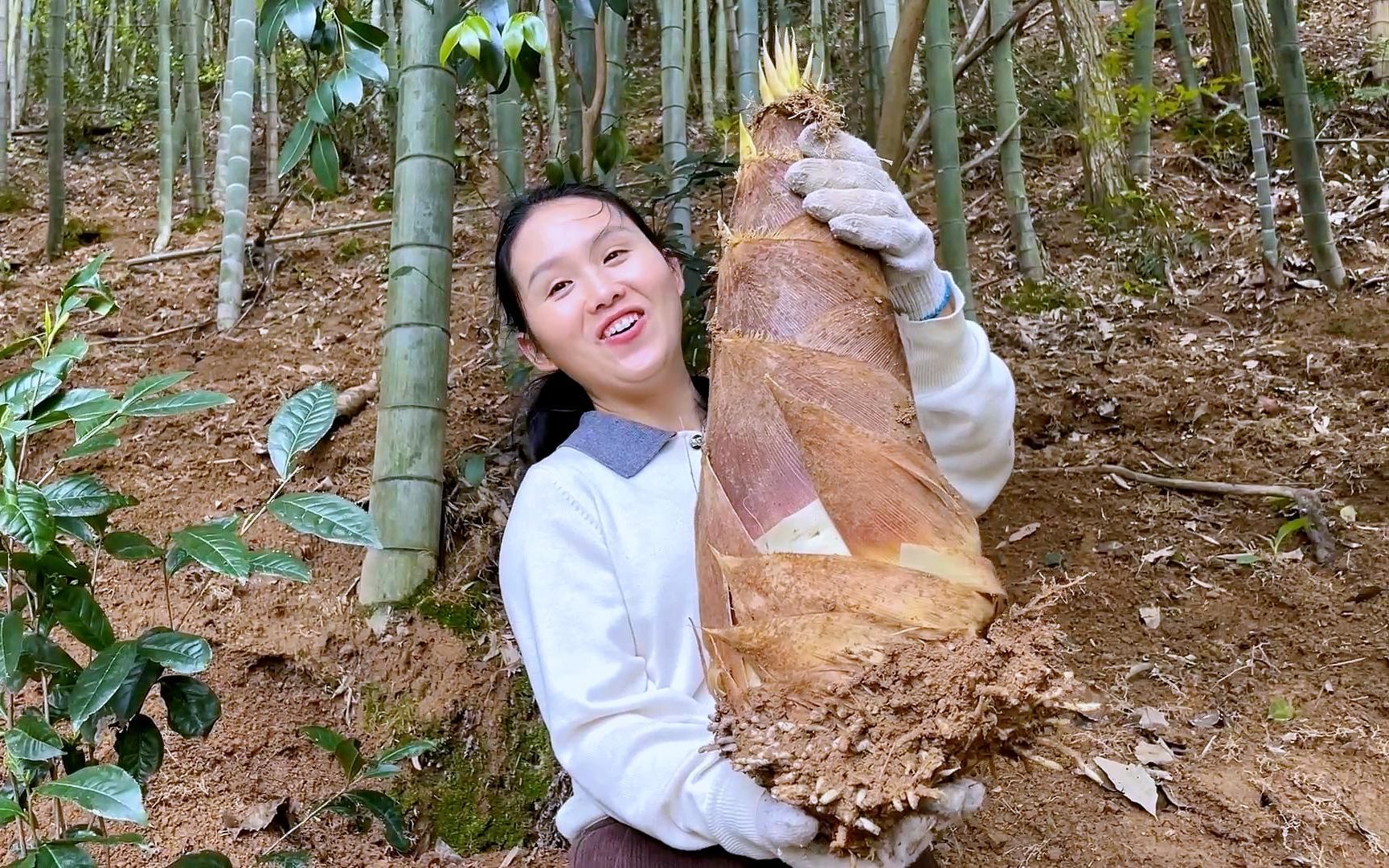 小莉两夫妻上山挖笋,又大又多,直呼太过瘾了哔哩哔哩bilibili