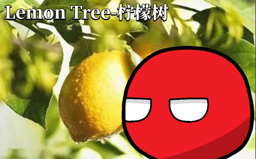 [图]经典旋律《Lemon Tree-柠檬树》蒙枝 中文版