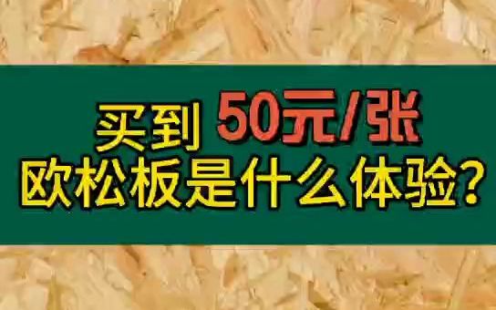 生态板十大品牌雪宝告诉你50元买到欧松板是什么样的体验哔哩哔哩bilibili