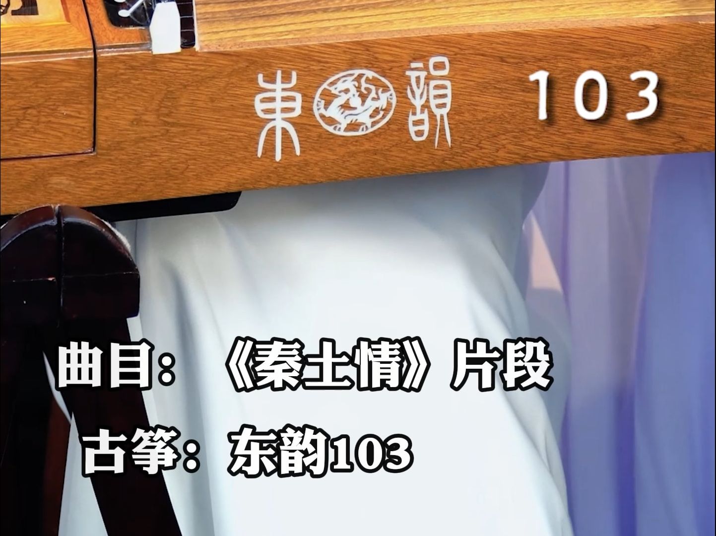 欣赏一下东韵挖筝演奏的表现,东韵103弹奏《秦土情》(片段)