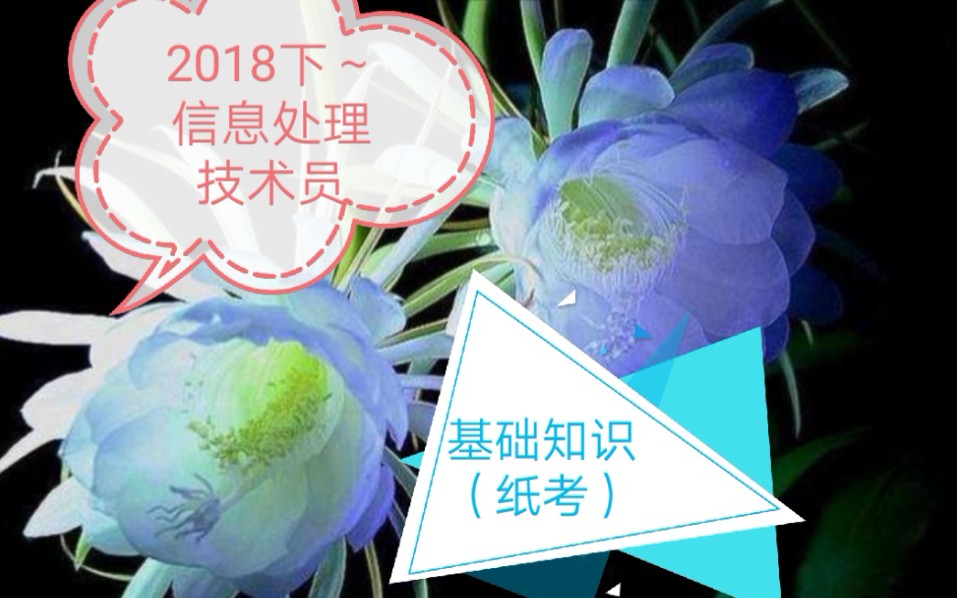 [图]【2018下-基础知识】信息处理技术员，明天就要考试了哟。