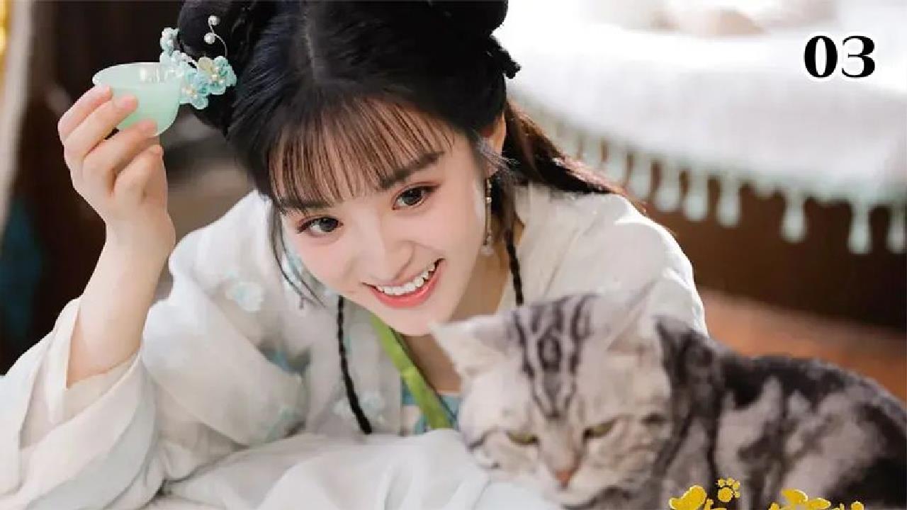 女孩给猫洗澡,猫竟然变成了美男子,我的宠物少将军