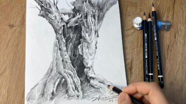 风景素描｜松树的画法_哔哩哔哩_bilibili