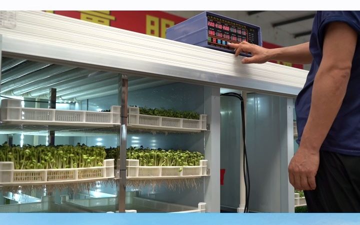 芽苗菜生产设备#济南芽苗菜生产设备供应厂家 #发芽机 #安徽发芽机