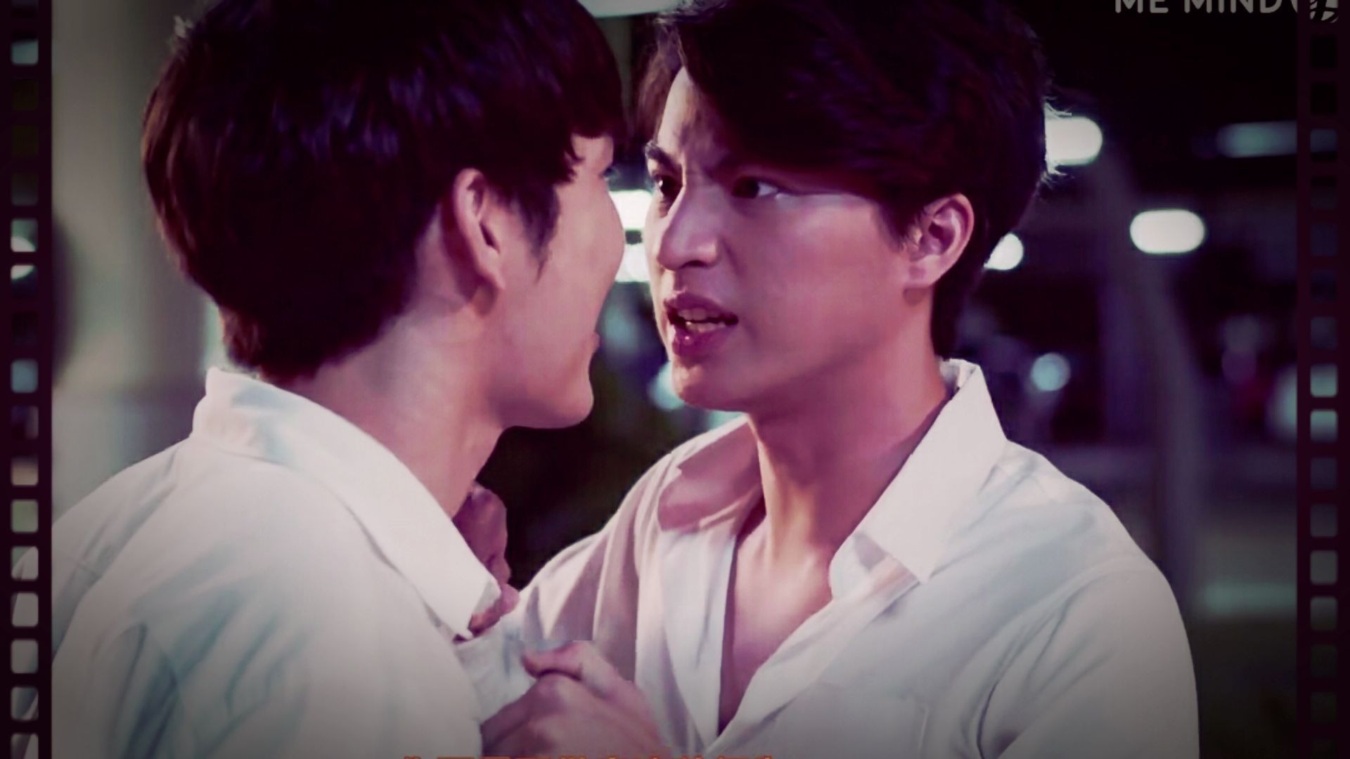 【与爱同居】 爱撒娇的暴躁猫咪&爱撸猫的暖心大狗子 我们一起学 gulf