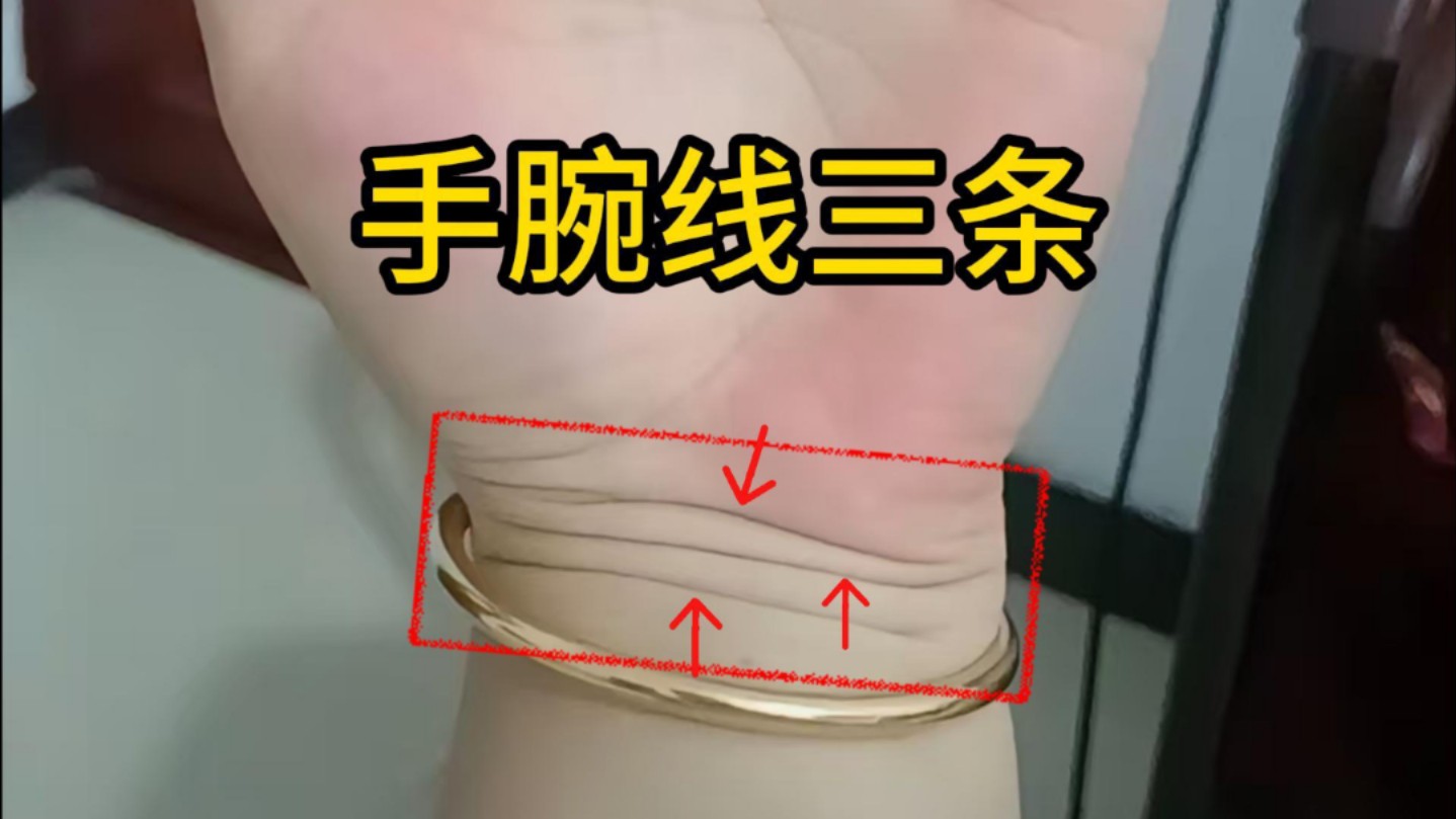识人有术,手腕线三条,有财库