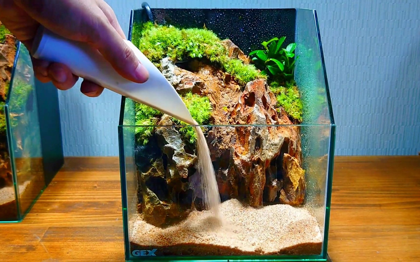 【水族】20cm迷你小水陆苔藓生态缸开缸_哔哩哔哩_bilibili