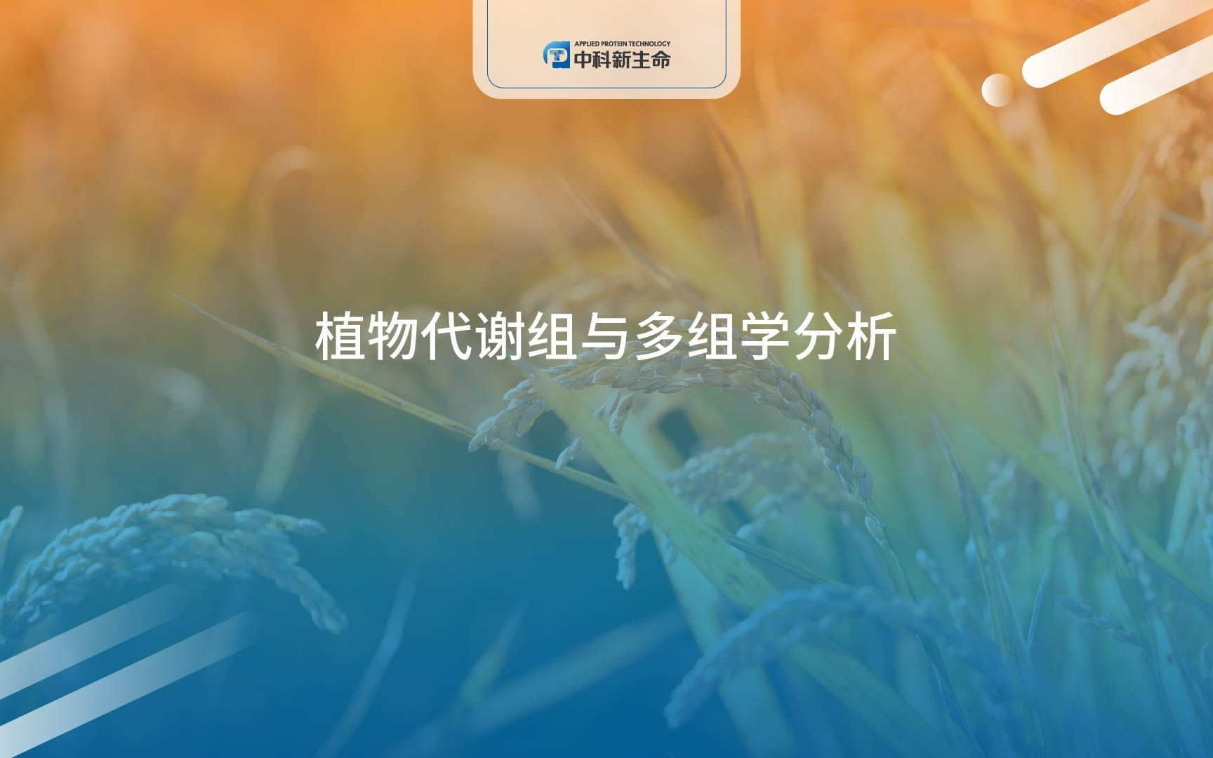 中科新生命植物代谢组与多组学分析哔哩哔哩bilibili