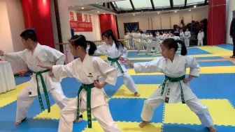 贤友流空手道 平安三段 哔哩哔哩 Bilibili