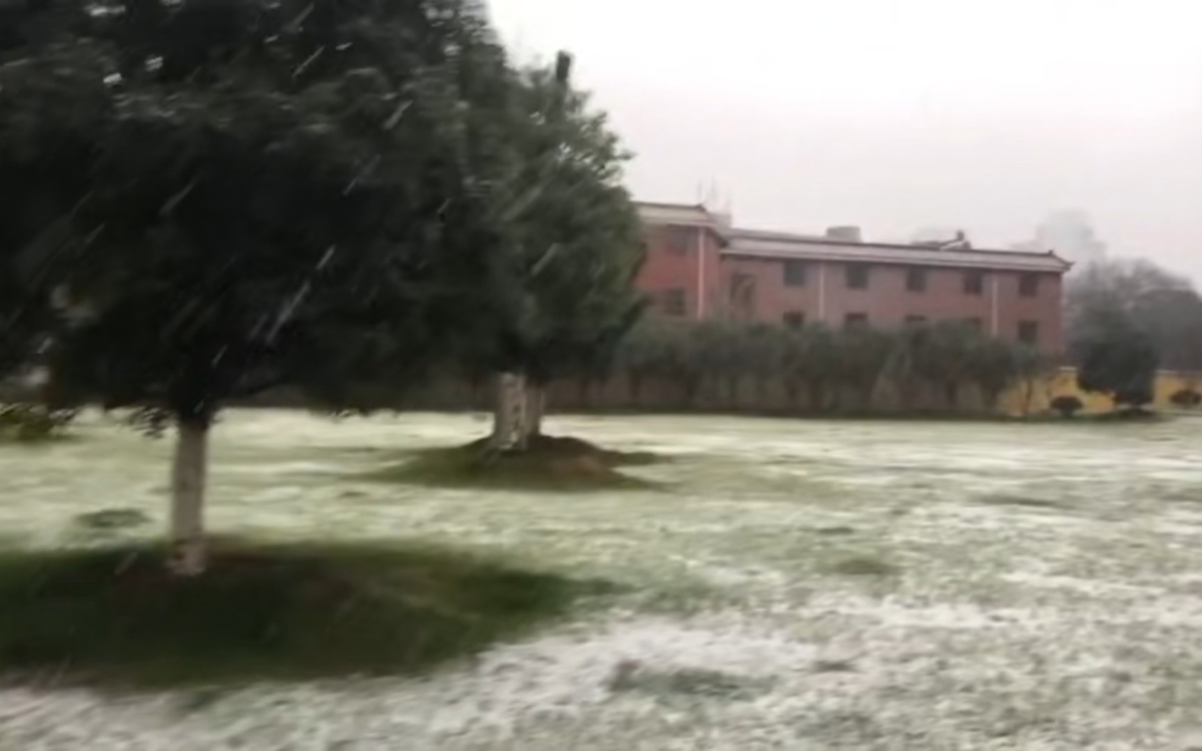 [图]【发 如 雪】长空卷玉花 汀州白浩浩