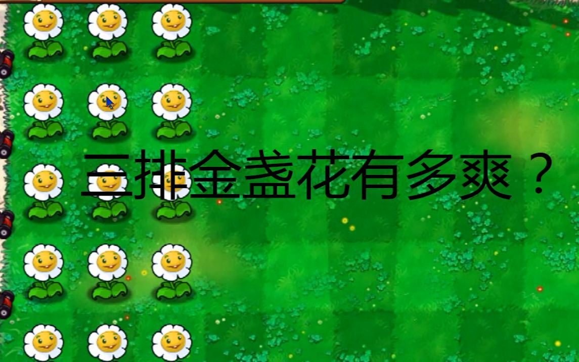 只能带两种植物还好有金盏花不丢车β版pvz隐藏关luck