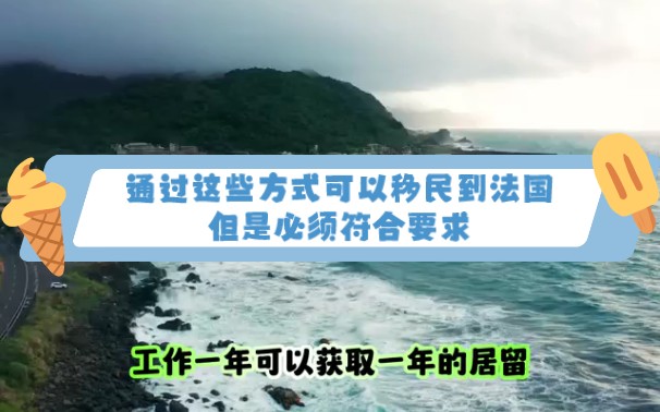 通过这些方式可以移民到法国,但是必须符合要求哔哩哔哩bilibili