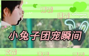 Download Video: 【all霖/all贺】小兔子的团宠瞬间