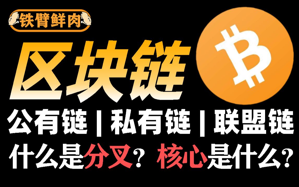 (区块链)分叉、核心是什么?公有链,私有链,联盟链是什么?铁臂鲜肉哔哩哔哩bilibili