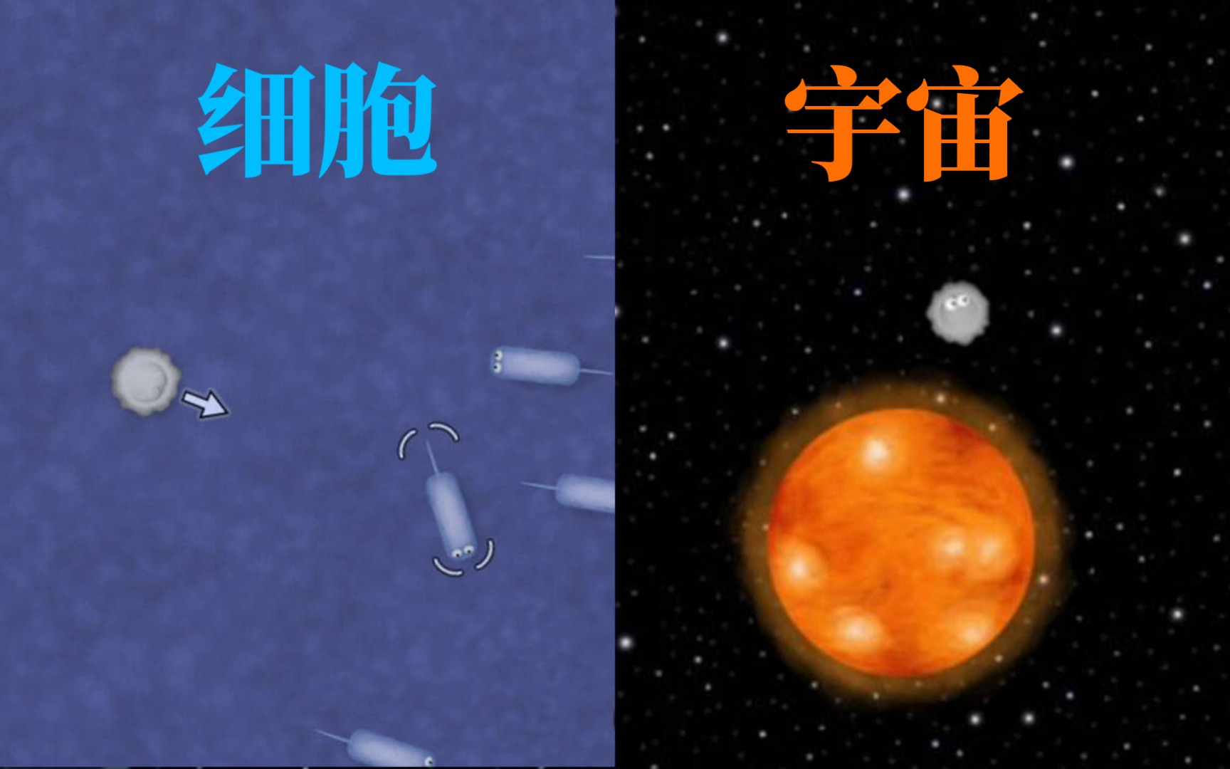 [图]从细胞吞噬到宇宙