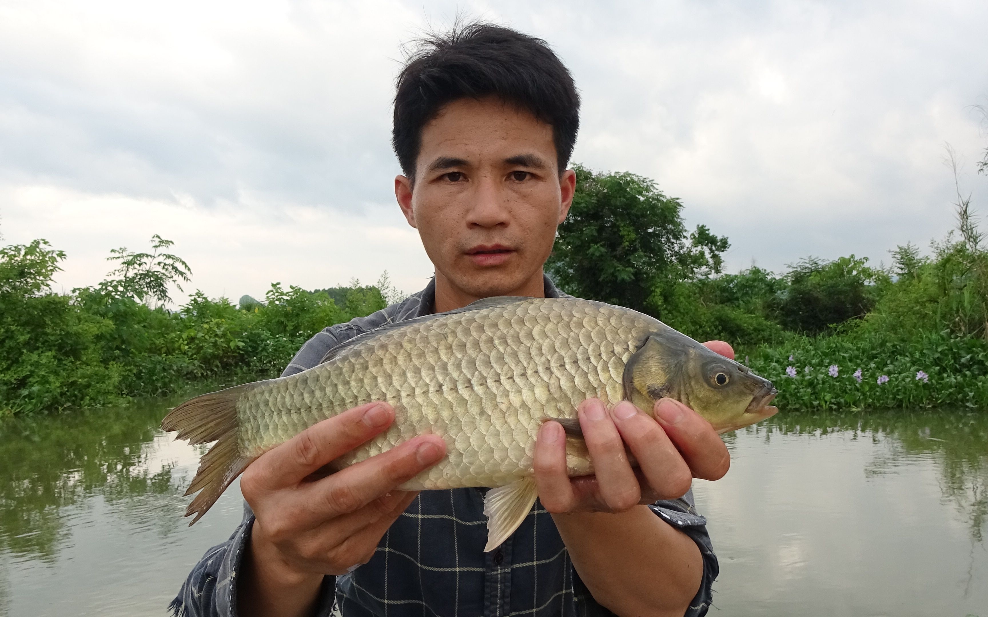 洪水退潮河魚群搶水,小莫橋洞下面開釣,大鯽魚拉得真過癮