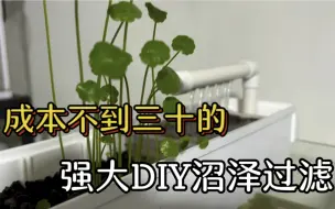 Download Video: 自己动手用工具盒，DIY制作沼泽过滤