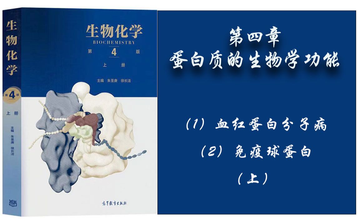 27.生物化学  第四章 (1)血红蛋白分子病;(2)免疫球蛋白. 上哔哩哔哩bilibili