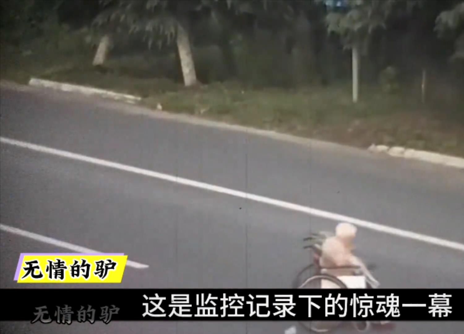 监控记录下的惊魂一幕,当场吓尿了.