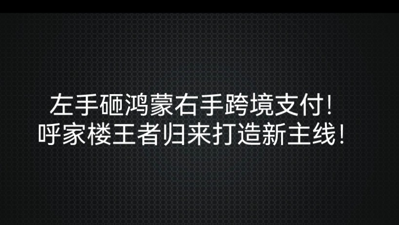 左手砸鸿蒙右手跨境支付!呼家楼王者归来打造新主线!哔哩哔哩bilibili