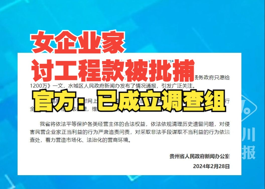 贵州通报女企业家讨工程款被批捕:已成立调查组哔哩哔哩bilibili