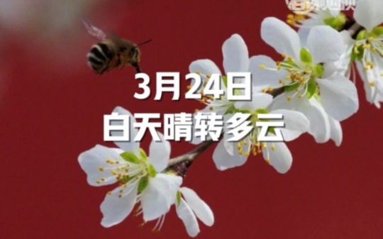 早安北京|24日白天晴转多云,限号4和9,空气质量优哔哩哔哩bilibili