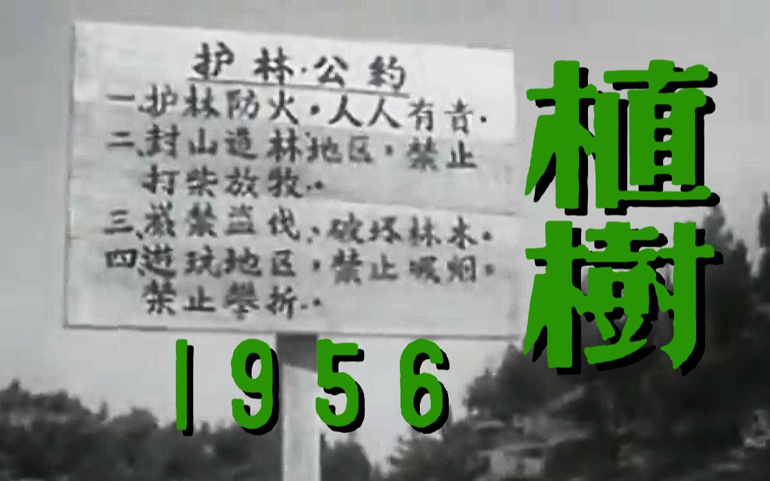 [图]上海科教片：植树 (1956年)