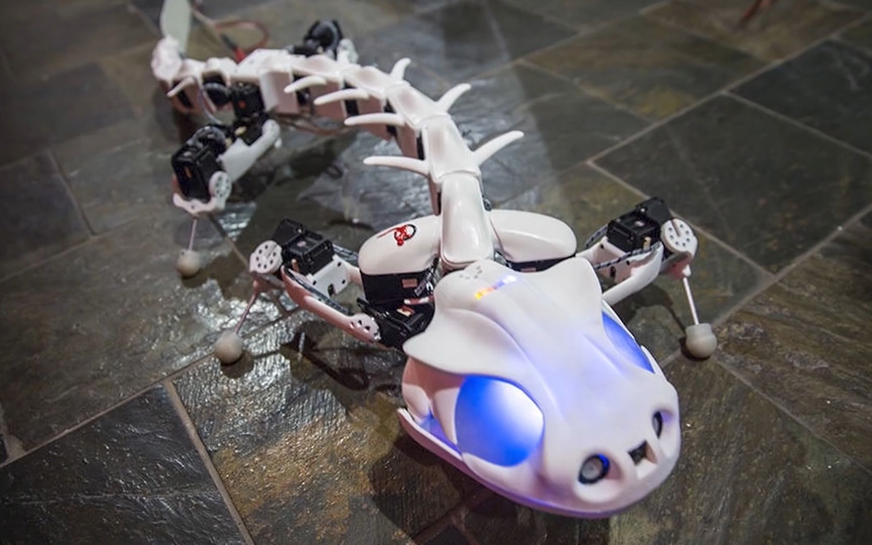 20种有趣的仿生机器人