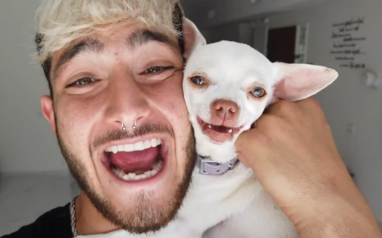 急娃娃niki和主人的沙雕日常vlog-1_哔哩哔哩_bilibili