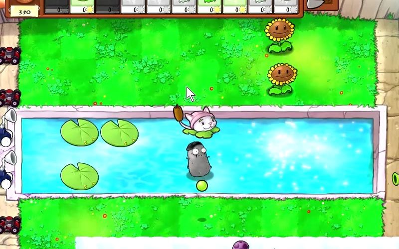 随机模仿者 植物僵尸2:开局有魔法猫咪相助,但还是寄了