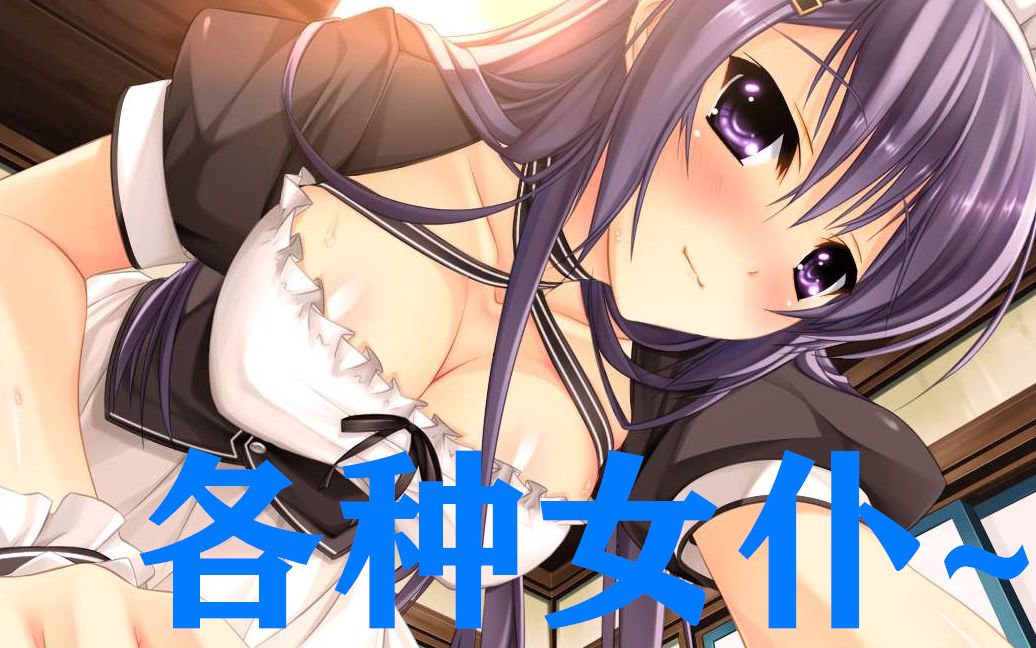 动漫里各种各样的女仆!哔哩哔哩bilibili