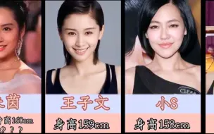 Descargar video: 盘点15位矮个子女明星，哪位出乎你意料？