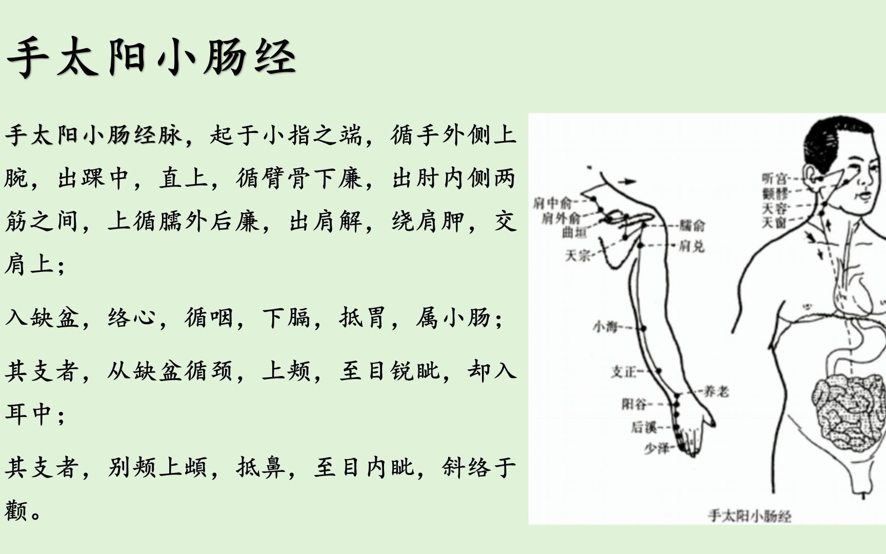 十二经络唱歌背诵法《手太阳小肠经》#通天大道宽又阔#哔哩哔哩bilibili