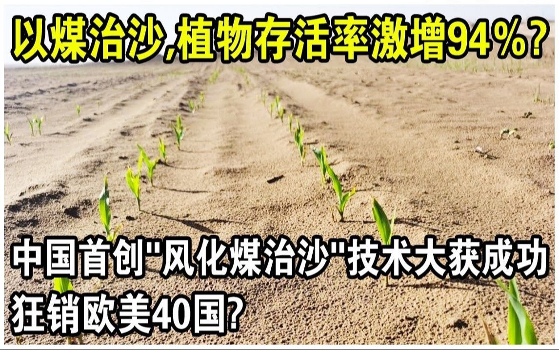 以煤治沙,植物存活率也能激增94%?中国首创“风化煤治沙”技术大获成功,狂销欧美40国!年产量20万吨,赚9亿?哔哩哔哩bilibili