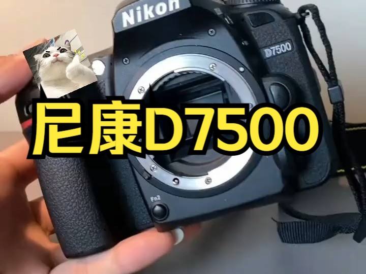 尼康D7500 尼康(Nikon)D7500 半画幅单反相机入门级 单机身 套机哔哩哔哩bilibili