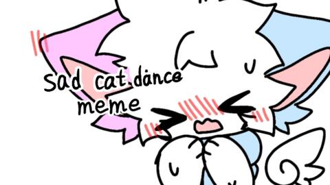 meme/赠】sad cat dance_哔哩哔哩_bilibili