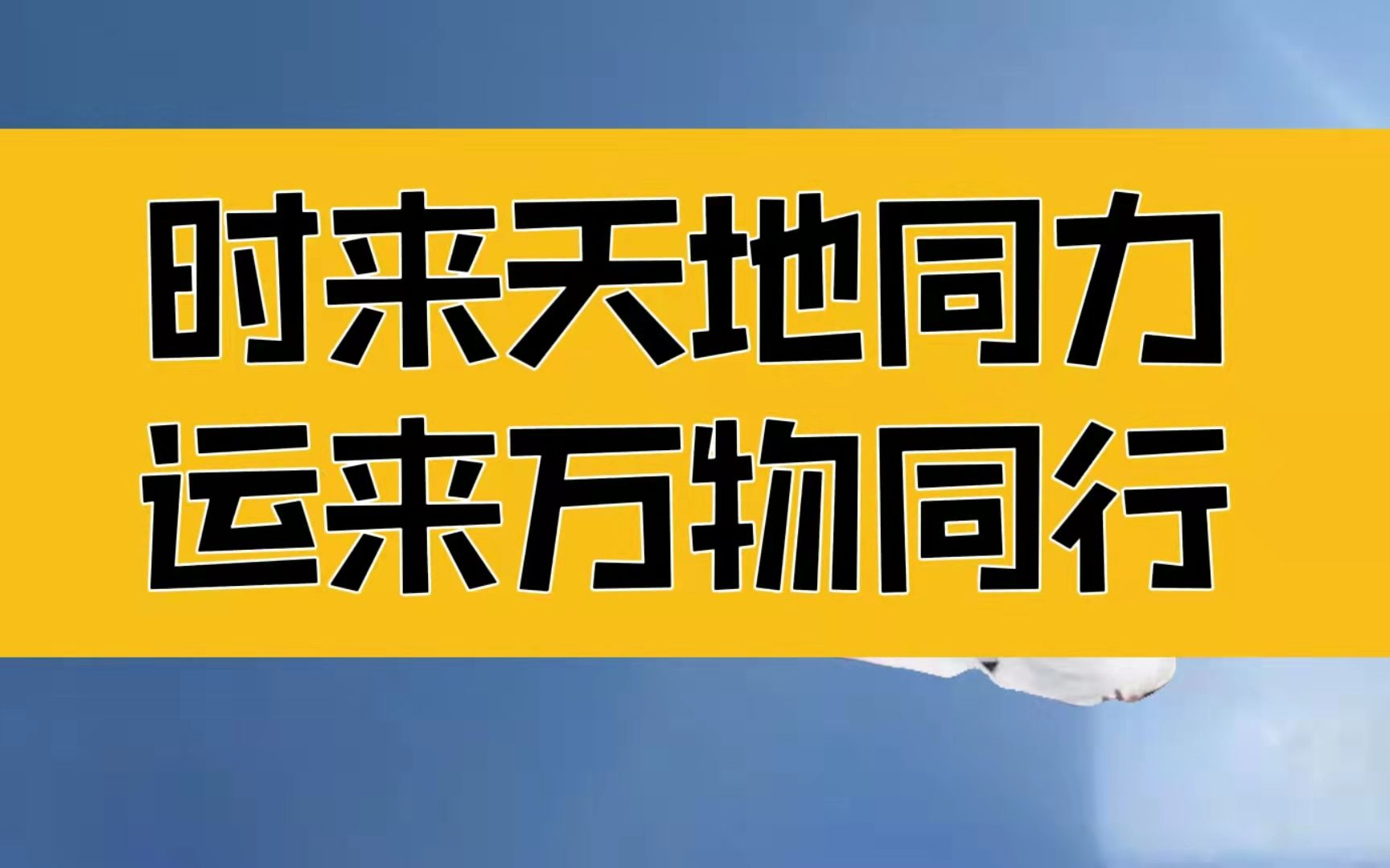 [图]庄子：时来天地同力，运来万物同行；无论怎样，都可以从头再来