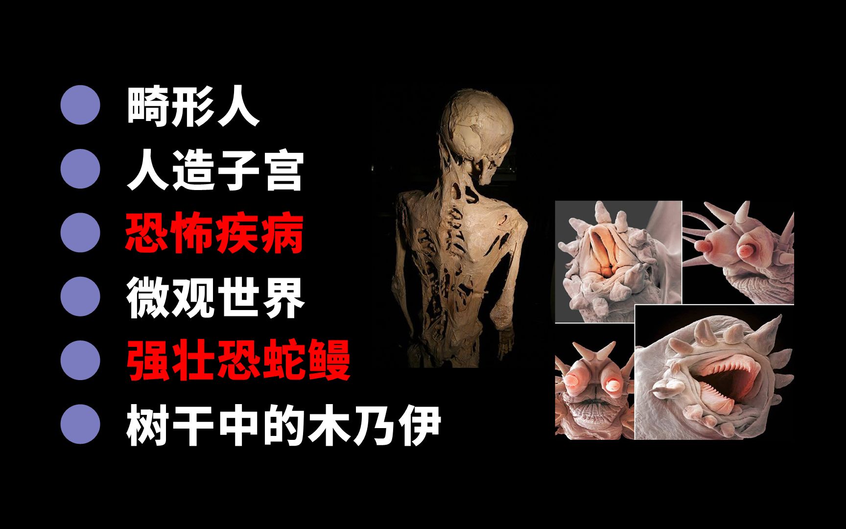 [图]【第2弹】奇怪的人物事：1700年的盐人