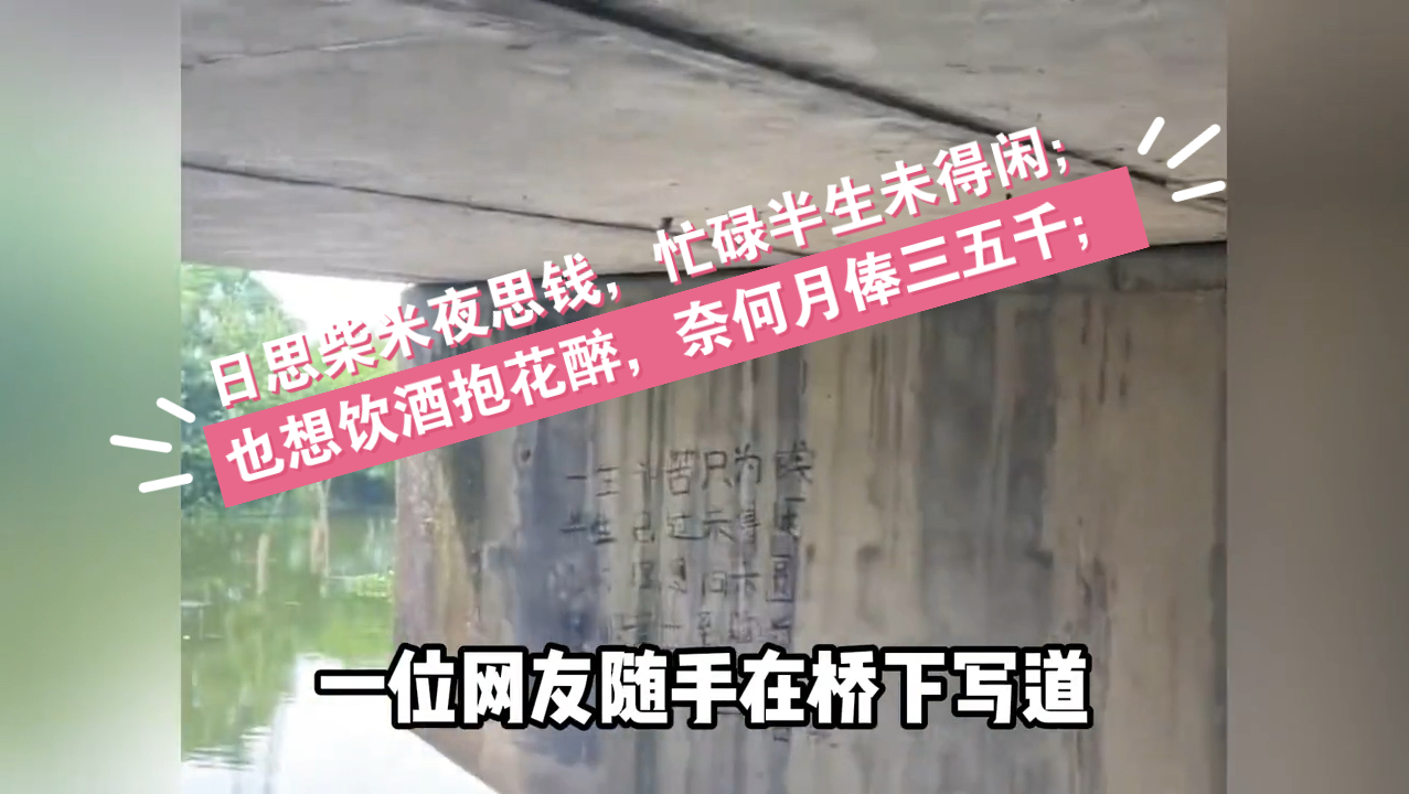 [图]唐朝若是有网友，唐诗何止三百首人才【果然高手都在评论区#古诗词 #唯美诗词 #高手网友大学生小学生学校教育