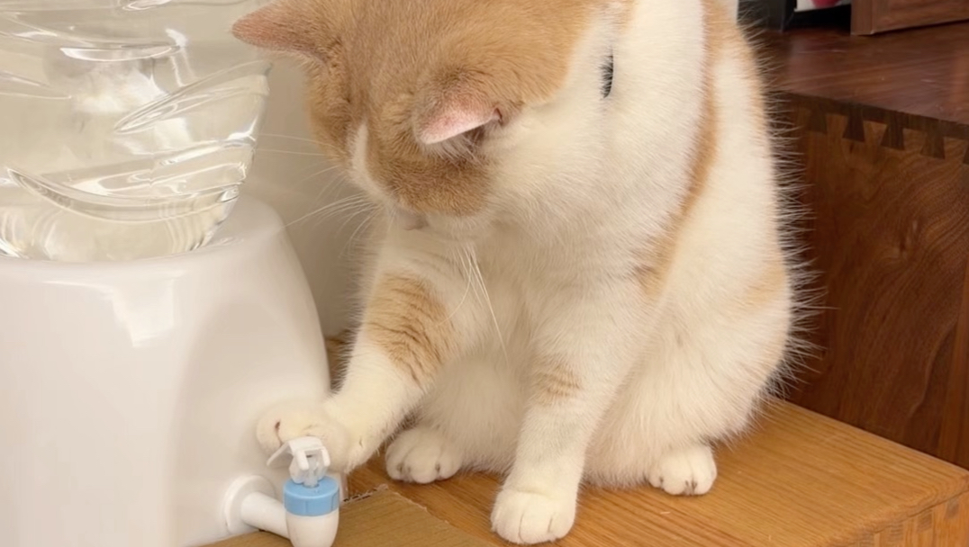 挡住视线接水挑战！