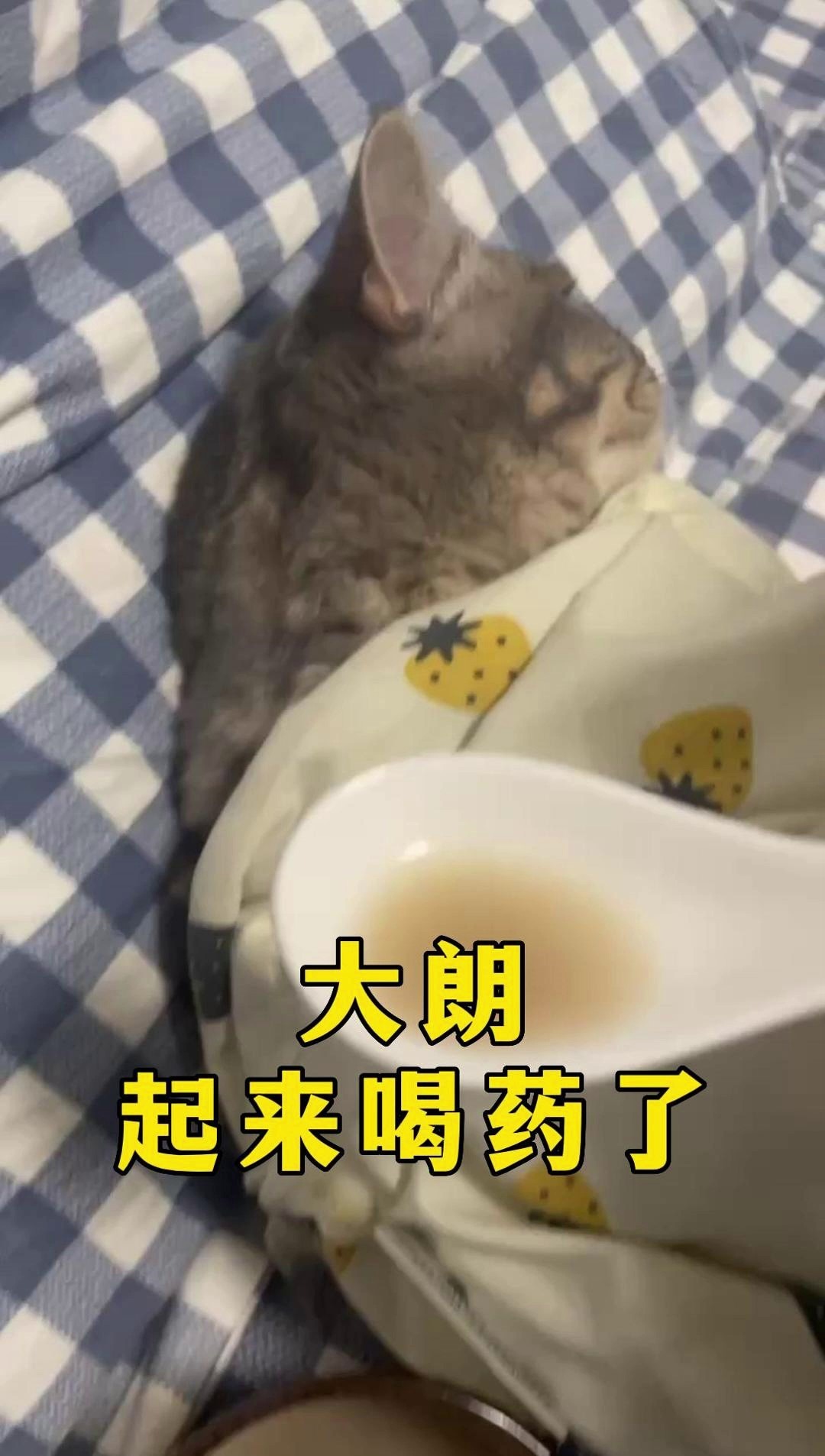 大朗别睡了,起来喝药了