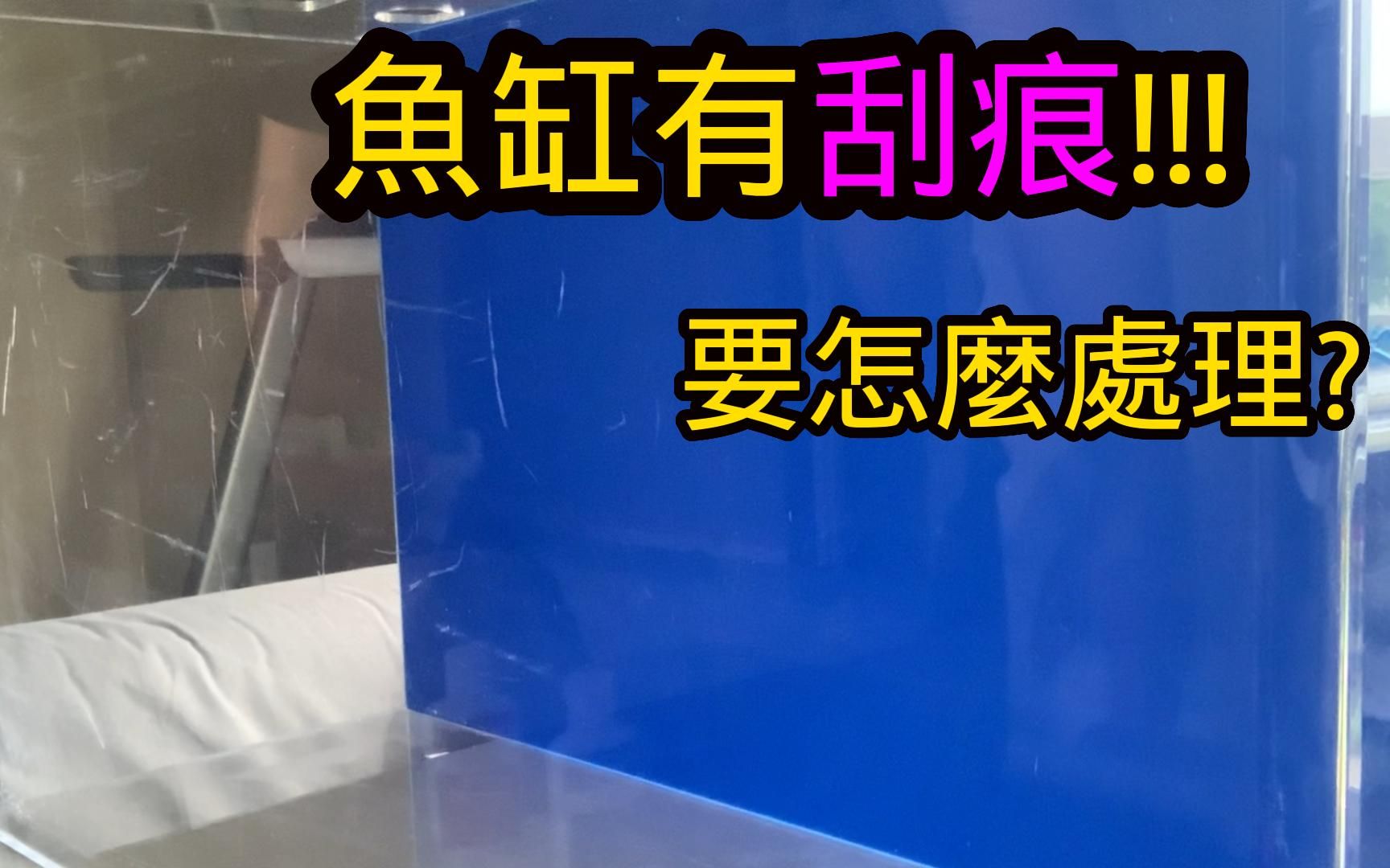 鱼缸刮痕消失术! 再也不用担心鱼缸受伤啦~ | 水族系列哔哩哔哩bilibili