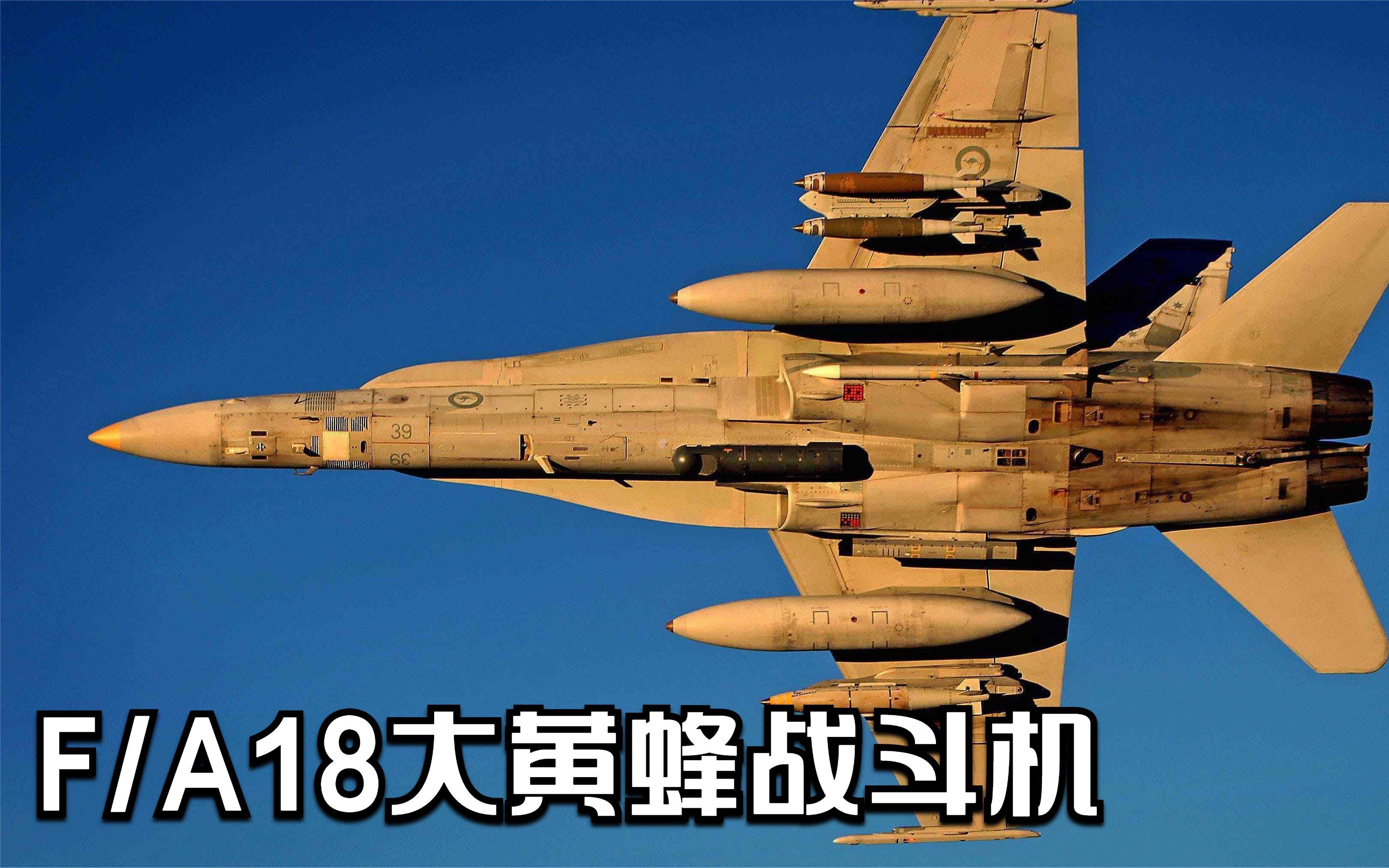 fa18超级大黄蜂参数图片