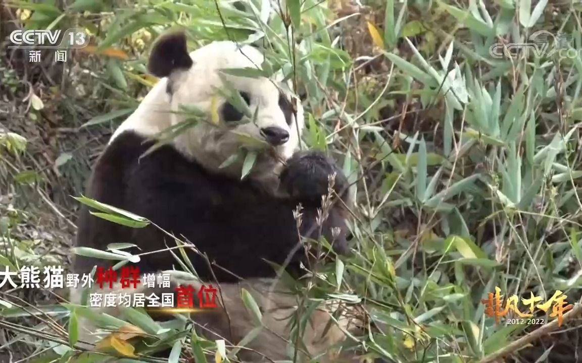 [图]【非凡十年】陕西十年来的伟大成就