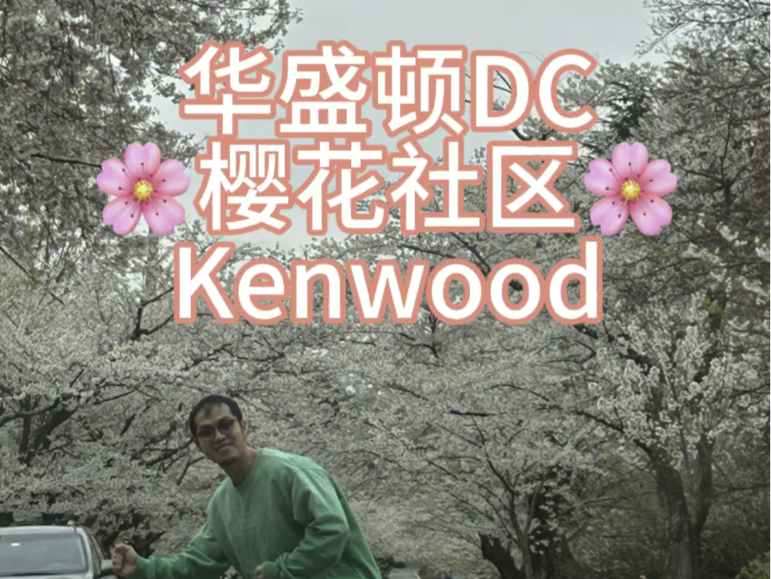 华盛顿DC网红樱花社区Kenwood,一起来看看樱花盛开的美景吧#美国生活 #樱花 #踏春赏花 #华盛顿 #美国哔哩哔哩bilibili