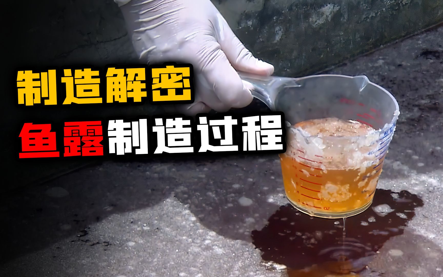 先腌制后过滤100吨的海鱼发酵2年后剩下的鱼汁精华就是鱼露
