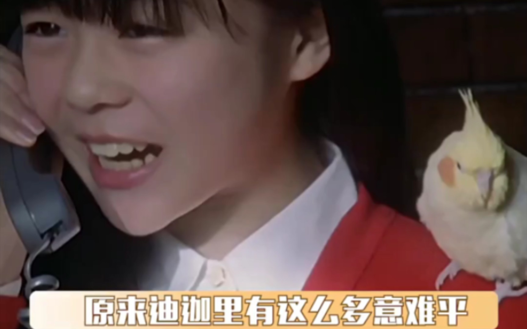 怪鸟西拉,即使伤痕累累也要阻止当年小主人的悲剧再重演